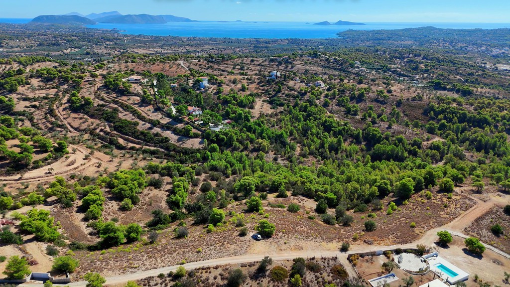 Αγροτεμάχια 24.000 τ.μ. προς πώληση, Βερβερούδα