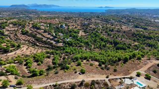 Αγροτεμάχια 24.000 τ.μ. προς πώληση, Βερβερούδα-thumb-3