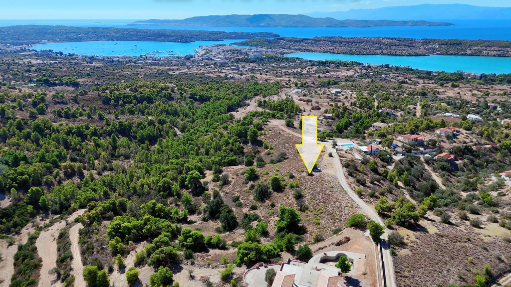 Αγροτεμάχια 24.000 τ.μ. προς πώληση, Βερβερούδα