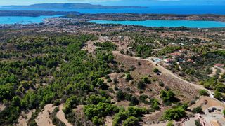 Αγροτεμάχια 24.000 τ.μ. προς πώληση, Βερβερούδα-thumb-6