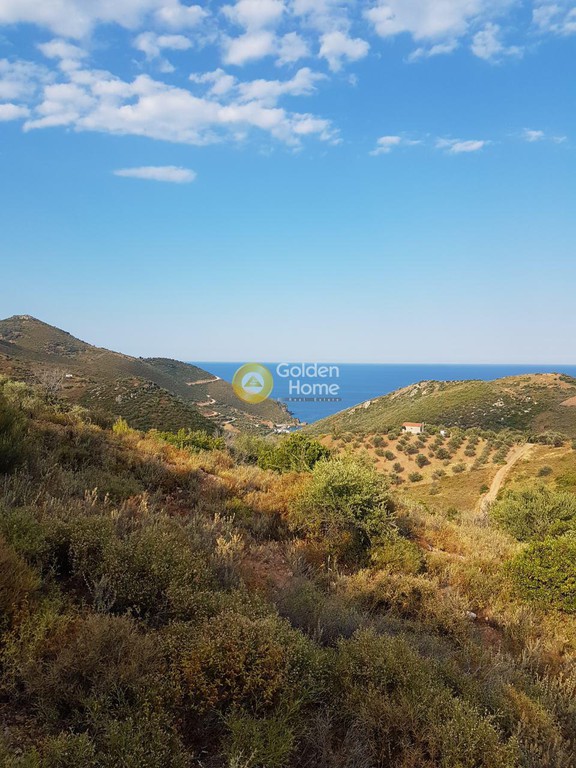 Οικόπεδο 7.000 τ.μ. πρός πώληση, Εύβοια, Αυλώνα
