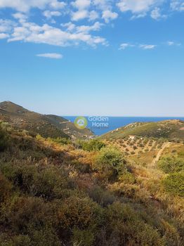 Land plot 7.000sqm for sale-Avlona » Kalamos