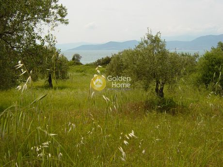 Land plot 20.000sqm for sale-Aidipsos » Agiokampos