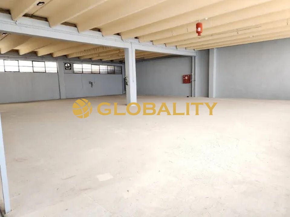 Business bulding 2.500 sqm for sale, Oulintzi