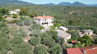 Μονοκατοικία 100 τ.μ. για πώληση, Μεσσηνία, Αριστομένης-thumb-15