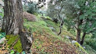 Οικόπεδο 500 τ.μ. πρός πώληση, Ν. Λευκάδας, Λευκάδα-thumb-1