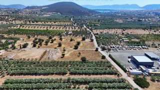 Οικόπεδο 4.026 τ.μ. για πώληση, Αργολίδα, Ερμιόνη-thumb-8