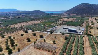 Οικόπεδο 4.026 τ.μ. για πώληση, Αργολίδα, Ερμιόνη-thumb-3