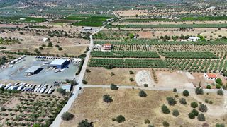 Οικόπεδο 4.026 τ.μ. για πώληση, Αργολίδα, Ερμιόνη-thumb-14