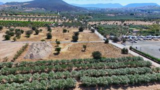 Οικόπεδο 4.026 τ.μ. για πώληση, Αργολίδα, Ερμιόνη-thumb-16
