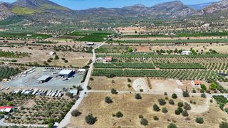 Οικόπεδο 4.026 τ.μ. για πώληση, Αργολίδα, Ερμιόνη-thumb-15