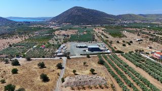 Οικόπεδο 4.026 τ.μ. για πώληση, Αργολίδα, Ερμιόνη-thumb-1