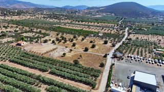 Οικόπεδο 4.026 τ.μ. για πώληση, Αργολίδα, Ερμιόνη-thumb-9