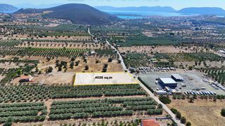Οικόπεδο 4.026 τ.μ. για πώληση, Αργολίδα, Ερμιόνη-thumb-7