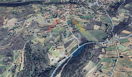 Αγροτεμάχια 7.024τ.μ. για πώληση-