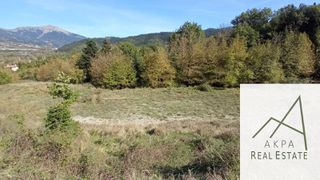Αγροτεμάχια 9.000 τ.μ. για πώληση, Ευρυτανία, Καρπενήσι-thumb-9