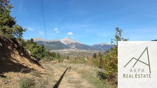 Αγροτεμάχια 9.000 τ.μ. για πώληση, Ευρυτανία, Καρπενήσι-thumb-6