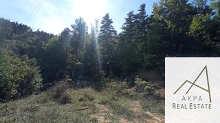 Αγροτεμάχια 9.000 τ.μ. για πώληση, Ευρυτανία, Καρπενήσι-thumb-7