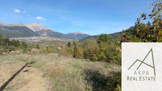 Αγροτεμάχια 9.000 τ.μ. για πώληση, Ευρυτανία, Καρπενήσι-thumb-4
