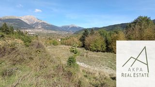 Αγροτεμάχια 9.000 τ.μ. για πώληση, Ευρυτανία, Καρπενήσι-thumb-8