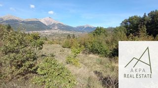 Αγροτεμάχια 9.000 τ.μ. για πώληση, Ευρυτανία, Καρπενήσι-thumb-2