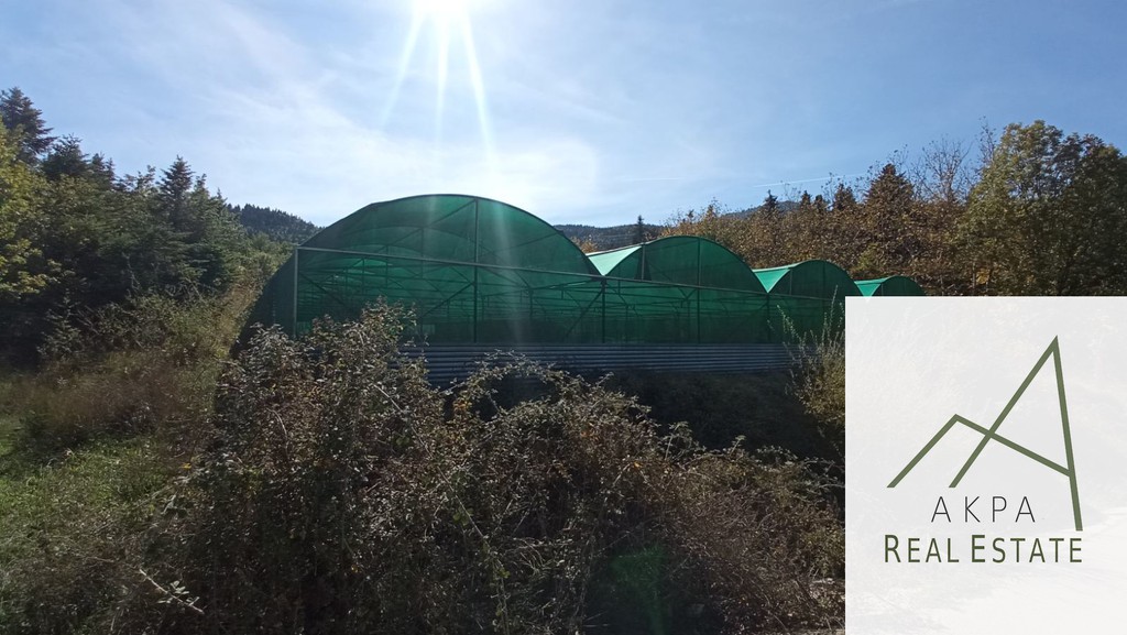 Οικόπεδο 6.500 τ.μ. προς πώληση, Καρπενήσι
