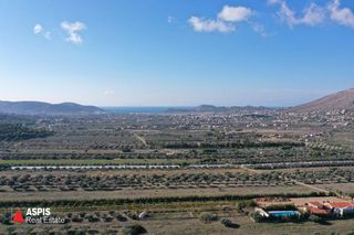 Αγροτεμάχια 23.300 τ.μ. για πώληση