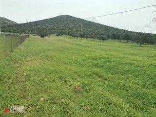 Οικόπεδο 4.557 τ.μ. για πώληση