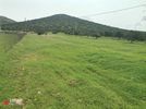 Land plot 4.557sqm for sale-Keratea