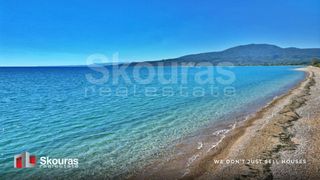 Αγροτεμάχια 20.753,18 τ.μ. για πώληση, Μεσσηνία, Μεσσήνη-thumb-8