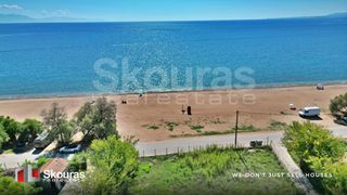 Αγροτεμάχια 20.753,18 τ.μ. για πώληση, Μεσσηνία, Μεσσήνη-thumb-14