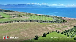 Αγροτεμάχια 20.753,18 τ.μ. για πώληση, Μεσσηνία, Μεσσήνη-thumb-22