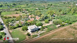 Αγροτεμάχια 20.753,18 τ.μ. για πώληση, Μεσσηνία, Μεσσήνη-thumb-10