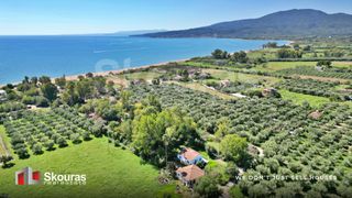Αγροτεμάχια 20.753,18 τ.μ. για πώληση, Μεσσηνία, Μεσσήνη-thumb-21