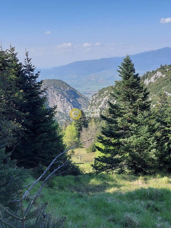 Οικόπεδο 4.500 τ.μ. πρός πώληση, Φωκίδα, Παρνασσός