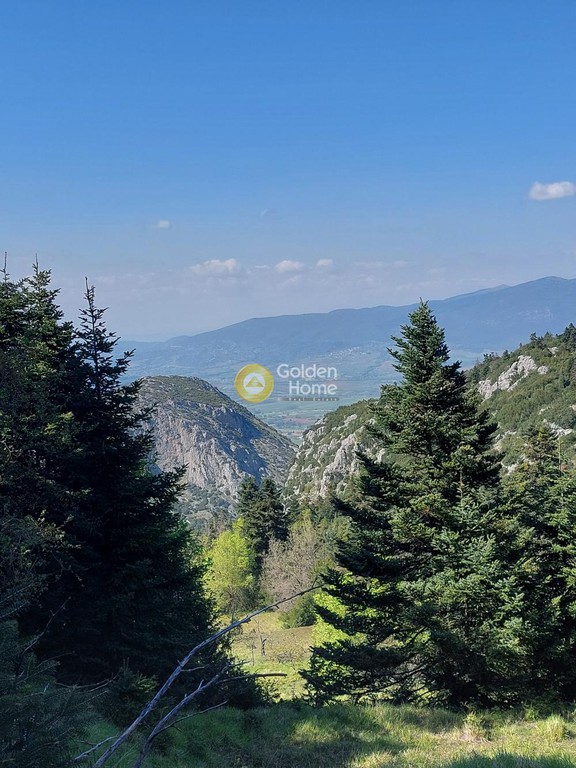 Οικόπεδο 4.500 τ.μ. πρός πώληση, Φωκίδα, Παρνασσός