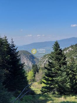 Land plot 4.500sqm for sale-Parnassos » Center