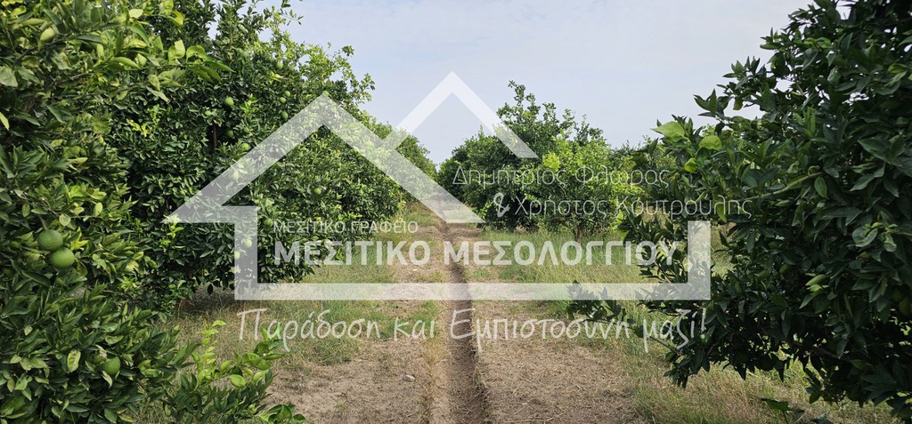Αγροτεμάχια 5.992,35 τ.μ. πρός πώληση, Αιτωλοακαρνανία, Οινιάδες