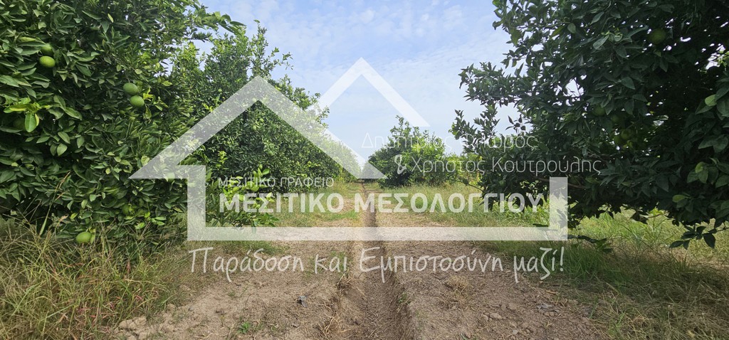 Αγροτεμάχια 5.992,35 τ.μ. πρός πώληση, Αιτωλοακαρνανία, Οινιάδες