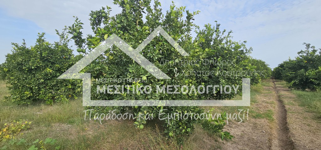 Αγροτεμάχια 5.992,35 τ.μ. πρός πώληση, Αιτωλοακαρνανία, Οινιάδες