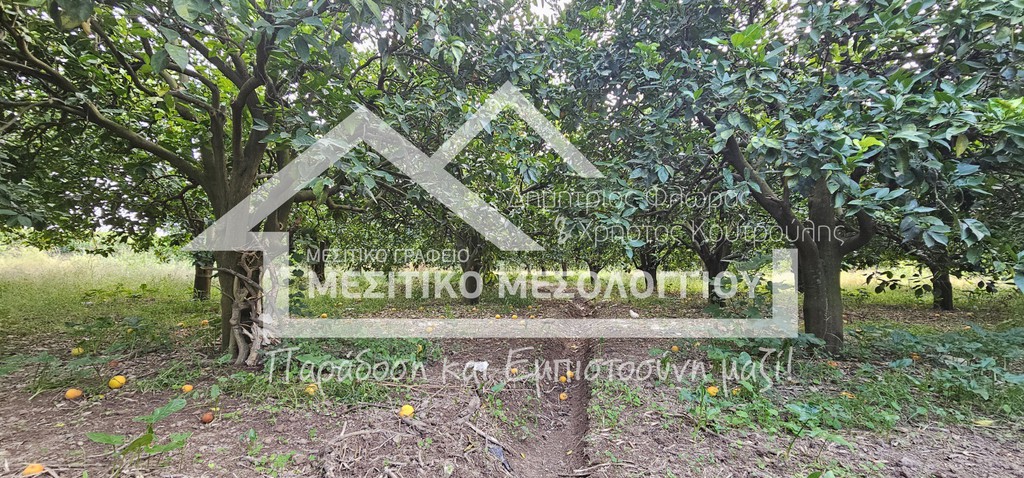 Αγροτεμάχια 4.938 τ.μ. πρός πώληση, Αιτωλοακαρνανία, Οινιάδες