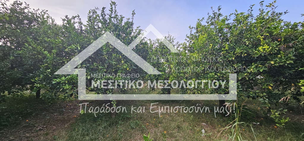 Αγροτεμάχια 4.938 τ.μ. πρός πώληση, Αιτωλοακαρνανία, Οινιάδες