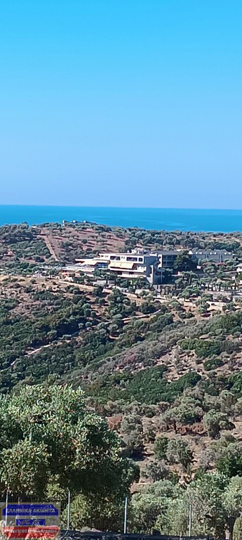 Αγροτεμάχια 9.300 τ.μ. προς πώληση, Αστρίδα