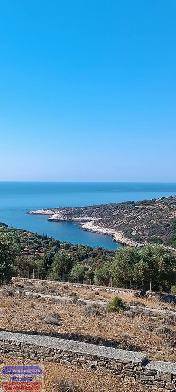 Αγροτεμάχια 9.300 τ.μ. προς πώληση, Αστρίδα