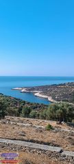 Αγροτεμάχια 9.300 τ.μ. για πώληση, Ν. Καβάλας, Θάσος-thumb-2