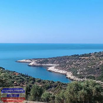 Αγροτεμάχια 9.300τ.μ. για πώληση-Θάσος