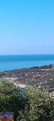 Αγροτεμάχια 9.300 τ.μ. για πώληση, Ν. Καβάλας, Θάσος-thumb-3