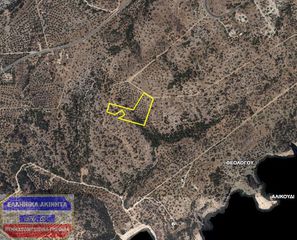 Αγροτεμάχια 9.300 τ.μ. για πώληση, Ν. Καβάλας, Θάσος-thumb-5