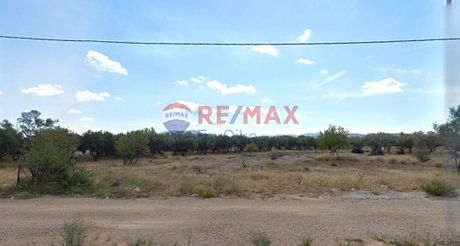 Αγροτεμάχια 1.000 τ.μ. για ενοικίαση