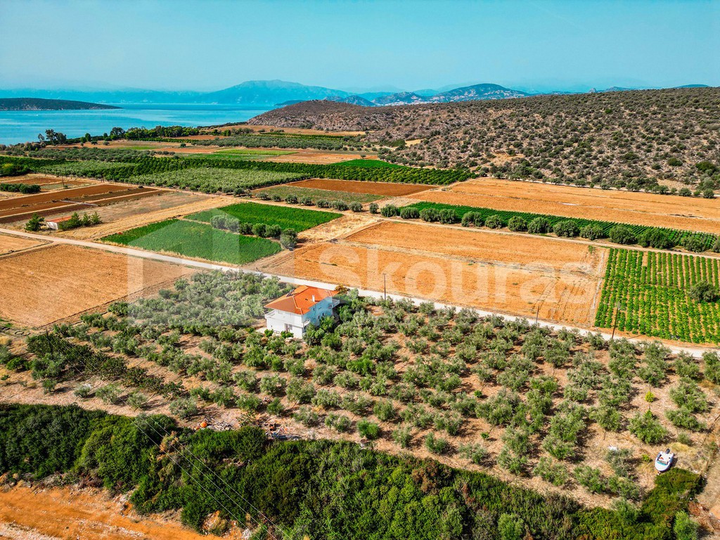 Μονοκατοικία 200 τ.μ. προς πώληση, Κάντια